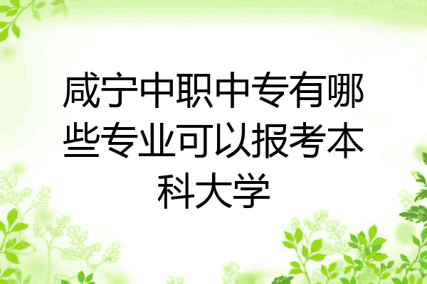 咸宁中职中专有哪些专业可以报考本科大学