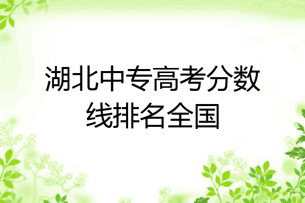湖北中专高考分数线排名全国