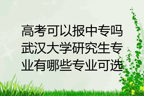 高考可以报中专吗武汉大学研究生专业有哪些专业可选