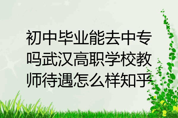 初中毕业能去中专吗武汉高职学校教师待遇怎么样知乎