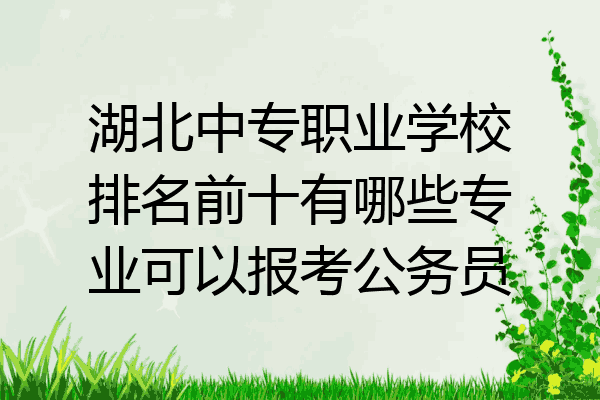 湖北中专职业学校排名前十有哪些专业可以报考公务员