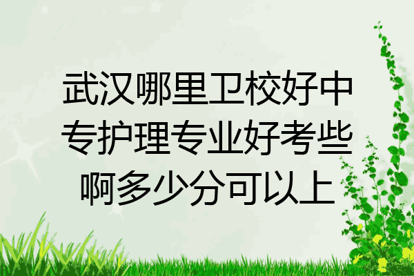 武汉哪里卫校好中专护理专业好考些啊多少分可以上