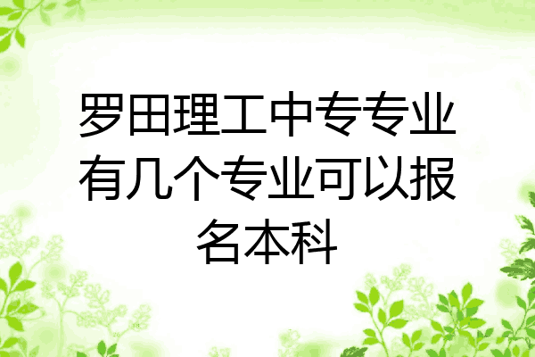 罗田理工中专专业有几个专业可以报名本科