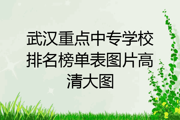 武汉重点中专学校排名榜单表图片高清大图