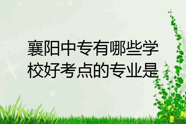 襄阳中专有哪些学校好考点的专业是