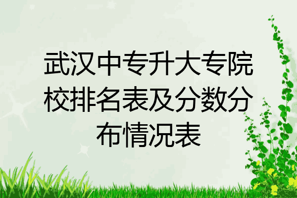 武汉中专升大专院校排名表及分数分布情况表