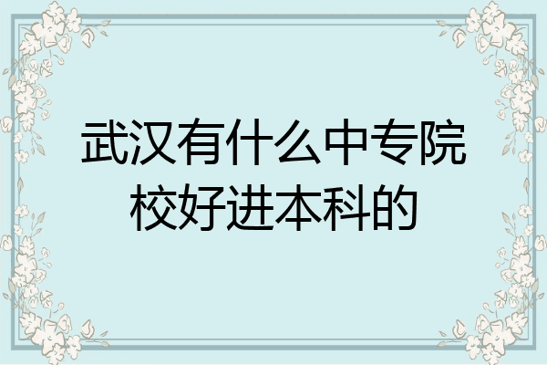 武汉有什么中专院校好进本科的