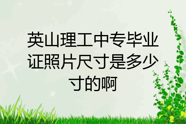英山理工中专毕业证照片尺寸是多少寸的啊