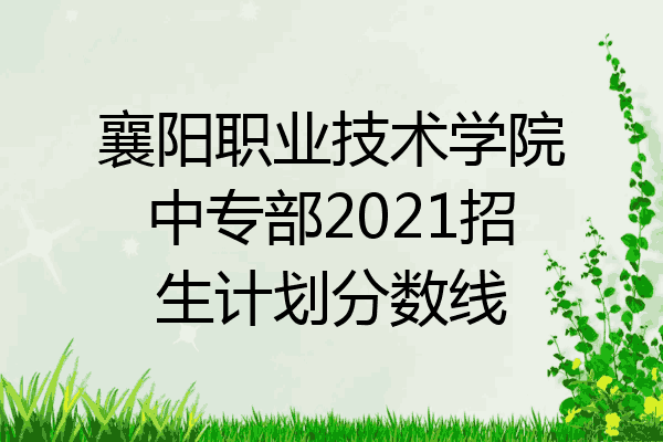 襄阳职业技术学院中专部2021招生计划分数线