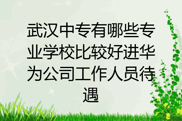 武汉中专有哪些专业学校比较好进华为公司工作人员待遇