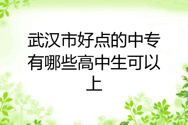 武汉市好点的中专有哪些高中生可以上