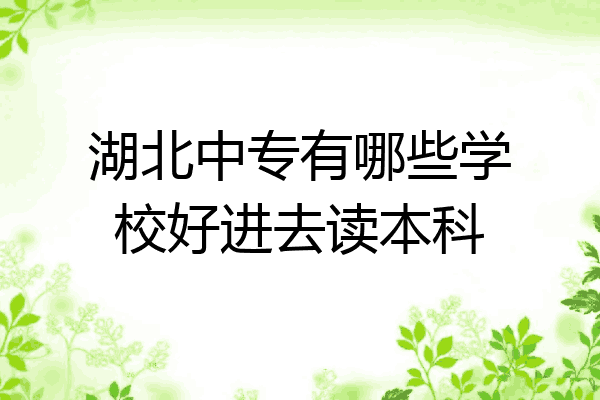 湖北中专有哪些学校好进去读本科