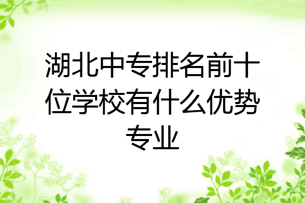 湖北中专排名前十位学校有什么优势专业