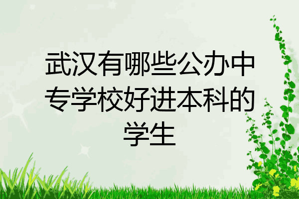 武汉有哪些公办中专学校好进本科的学生