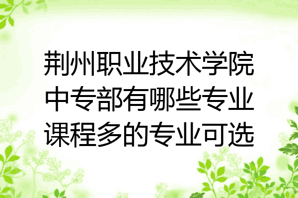 荆州职业技术学院中专部有哪些专业课程多的专业可选