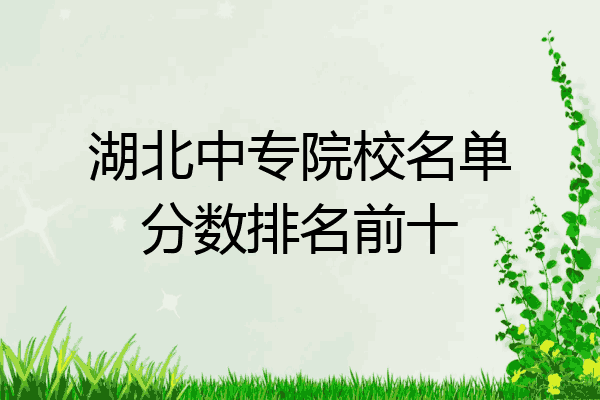 湖北中专院校名单分数排名前十
