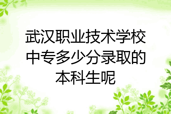 武汉职业技术学校中专多少分录取的本科生呢