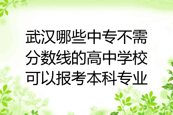 武汉哪些中专不需分数线的高中学校可以报考本科专业