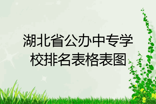 湖北省公办中专学校排名表格表图