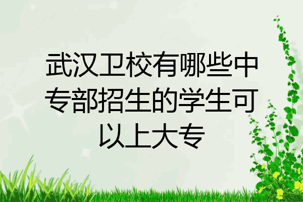 武汉卫校有哪些中专部招生的学生可以上大专