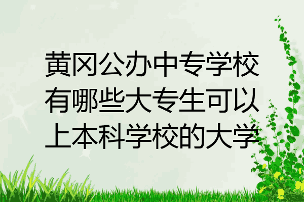 黄冈公办中专学校有哪些大专生可以上本科学校的大学