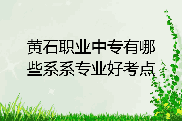 黄石职业中专有哪些系系专业好考点