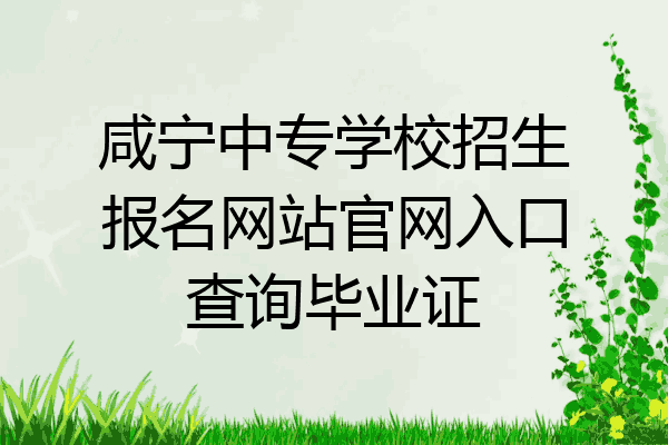 咸宁中专学校招生报名网站官网入口查询毕业证