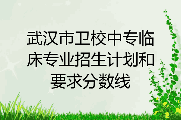 武汉市卫校中专临床专业招生计划和要求分数线