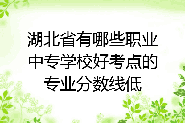 湖北省有哪些职业中专学校好考点的专业分数线低