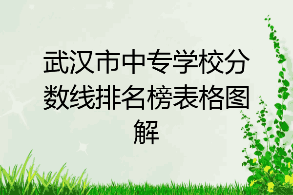 武汉市中专学校分数线排名榜表格图解