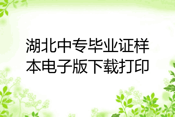 湖北中专毕业证样本电子版下载打印