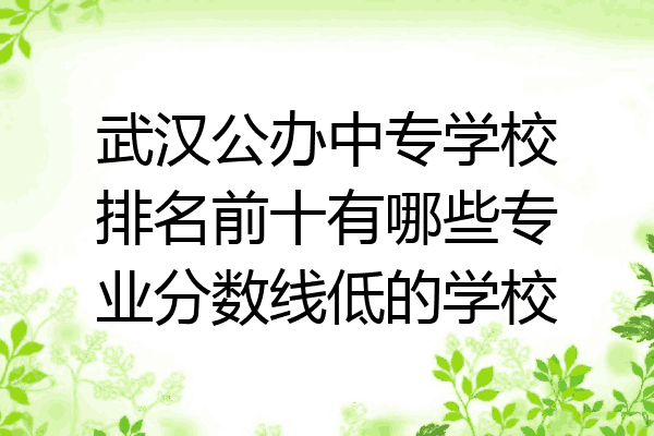 武汉公办中专学校排名前十有哪些专业分数线低的学校