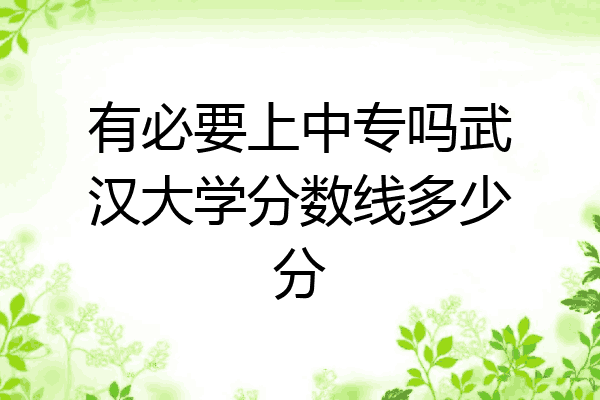 有必要上中专吗武汉大学分数线多少分