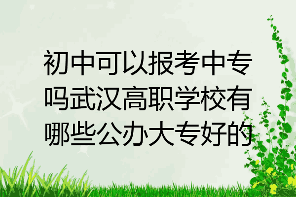 初中可以报考中专吗武汉高职学校有哪些公办大专好的