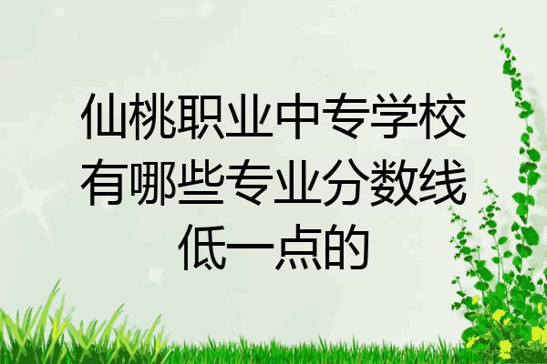 仙桃职业中专学校有哪些专业分数线低一点的