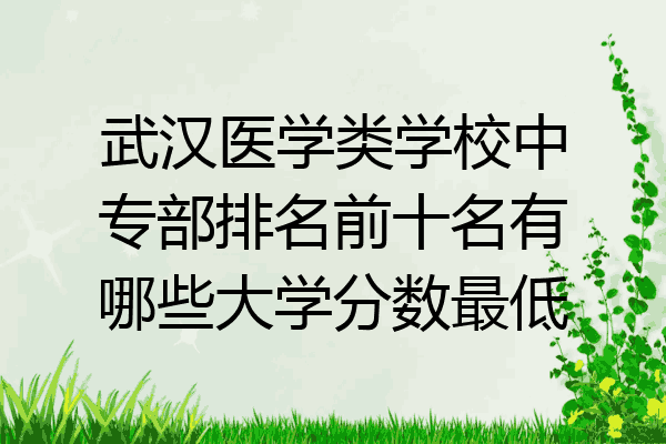 武汉医学类学校中专部排名前十名有哪些大学分数最低
