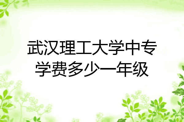 武汉理工大学中专学费多少一年级