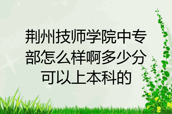 荆州技师学院中专部怎么样啊多少分可以上本科的