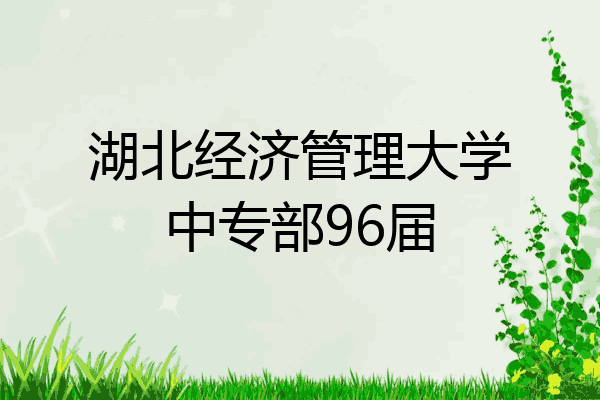 湖北经济管理大学中专部96届