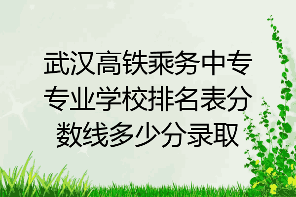 武汉高铁乘务中专专业学校排名表分数线多少分录取