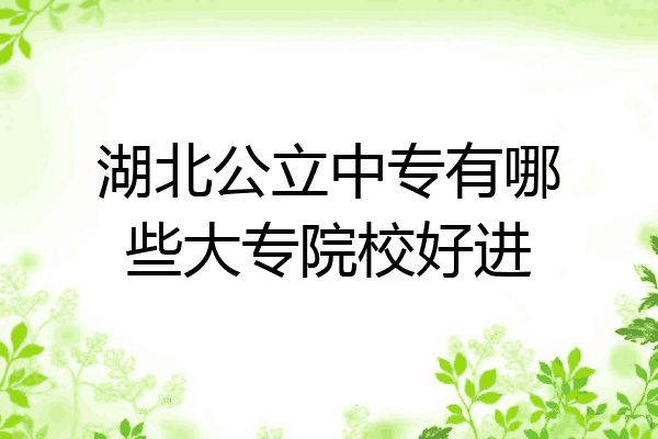 湖北公立中专有哪些大专院校好进