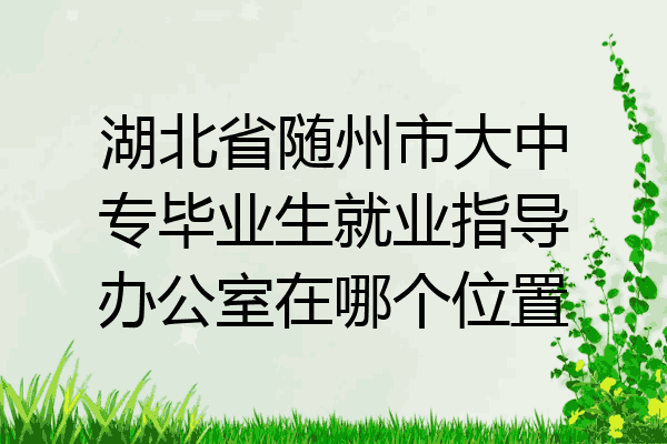 湖北省随州市大中专毕业生就业指导办公室在哪个位置