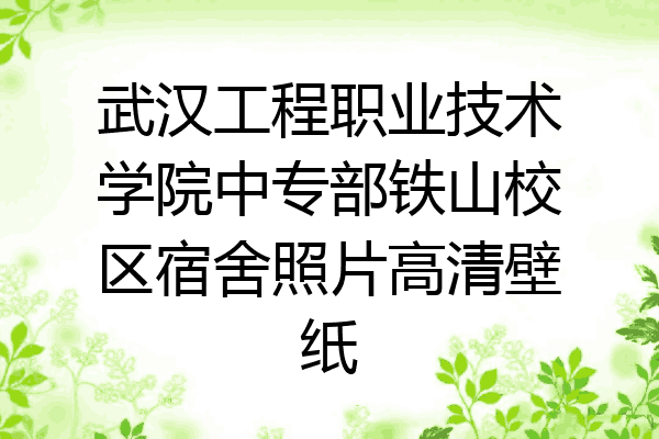 武汉工程职业技术学院中专部铁山校区宿舍照片高清壁纸