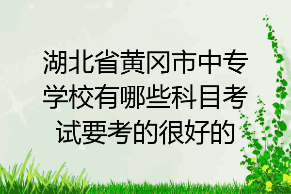 湖北省黄冈市中专学校有哪些科目考试要考的很好的