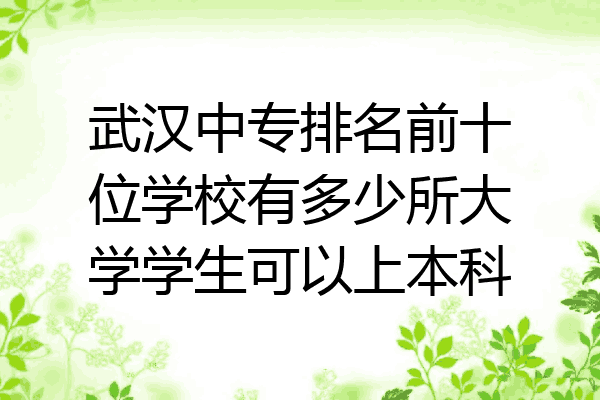 武汉中专排名前十位学校有多少所大学学生可以上本科