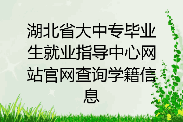湖北省大中专毕业生就业指导中心网站官网查询学籍信息
