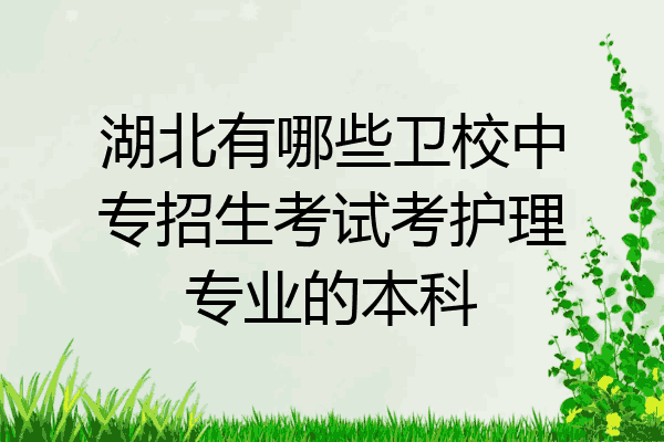 湖北有哪些卫校中专招生考试考护理专业的本科
