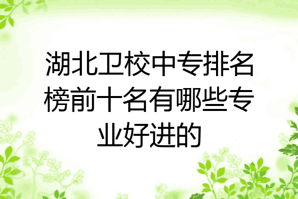 湖北卫校中专排名榜前十名有哪些专业好进的