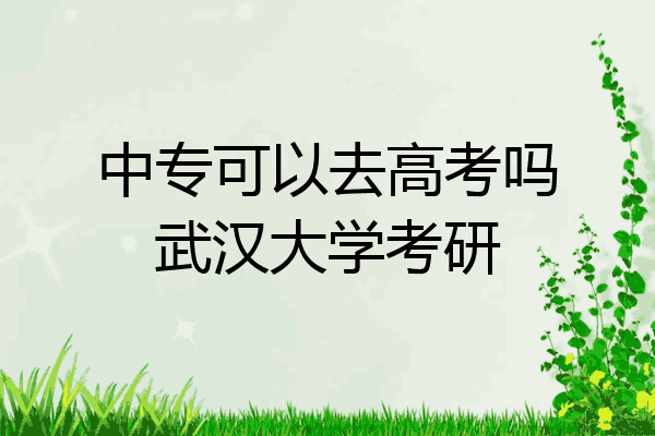 中专可以去高考吗武汉大学考研