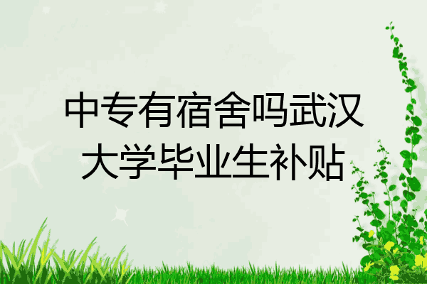中专有宿舍吗武汉大学毕业生补贴